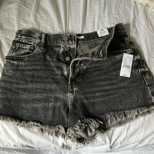 Pacsun Vintage High Rise Shorts